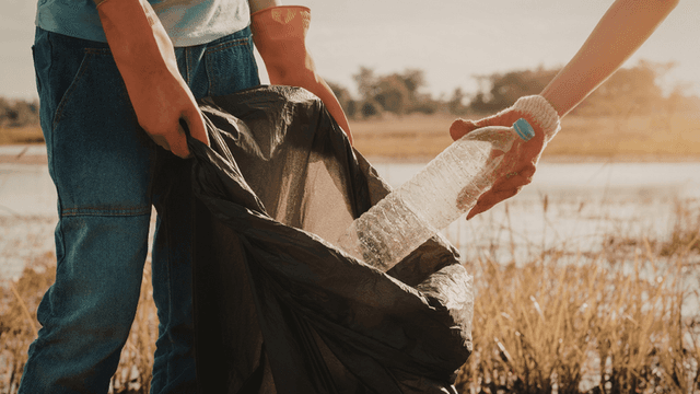 Earth Day 2026 Observed Across the United States with Renewed Focus on Community Action