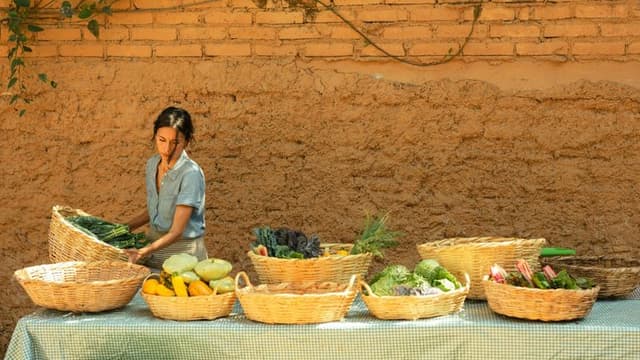 Farmers Markets Flourish in 2025: A Return to Local and Sustainable Shopping