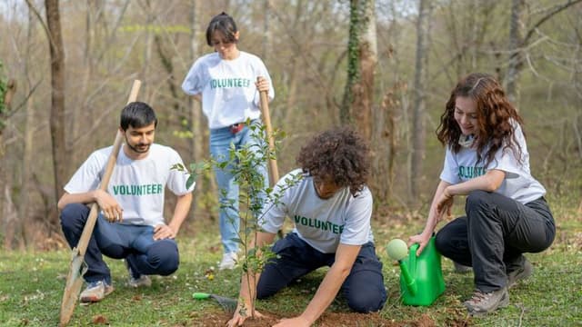 California Launches Largest Urban Reforestation Project to Combat Heat Waves