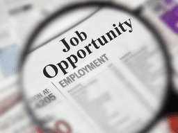 Magnifying glass enlarges the words “Job Opportunity” and “Employment” on a printed jobs page.