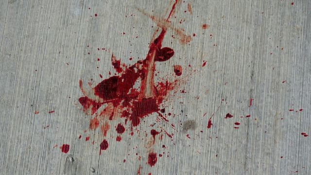 Attempted Assassination of Former President Trump Thwarted in Florida