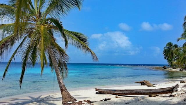 Retire in Panama Tours offers personalized small-group and self-guided tours, helping future expats explore Panama's diverse regions, local culture, and practical relocation aspects. With expert guidance and ongoing support, these tours ensure a seamless transition to life in Panama.