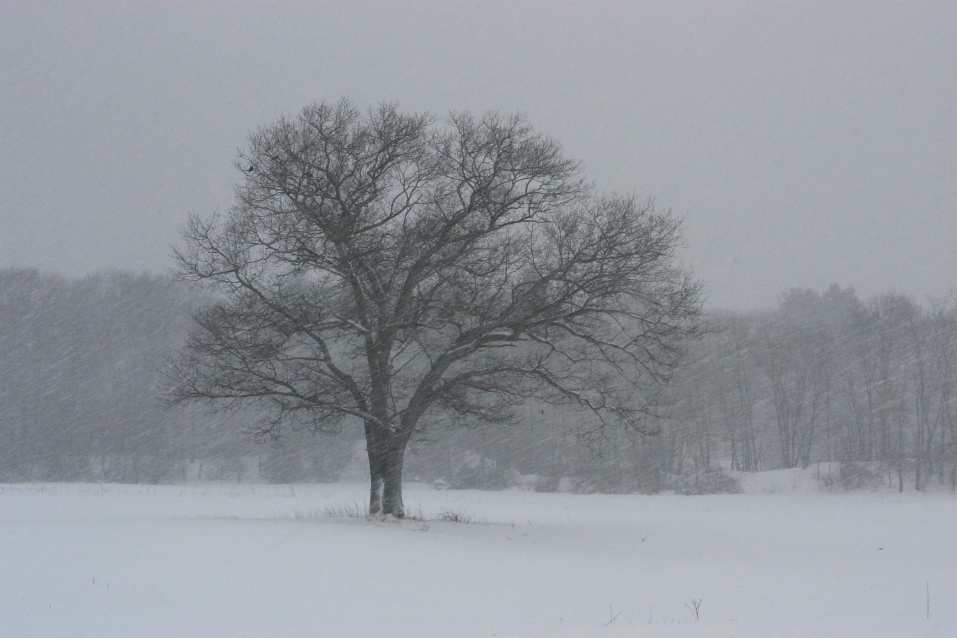 Winter Storm Strikes Texas, Leaving Fatalities and Disruptions in Its Wake