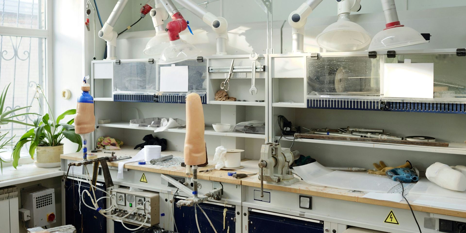 2025’s Top Scientific Breakthroughs: Transforming Technology and Health