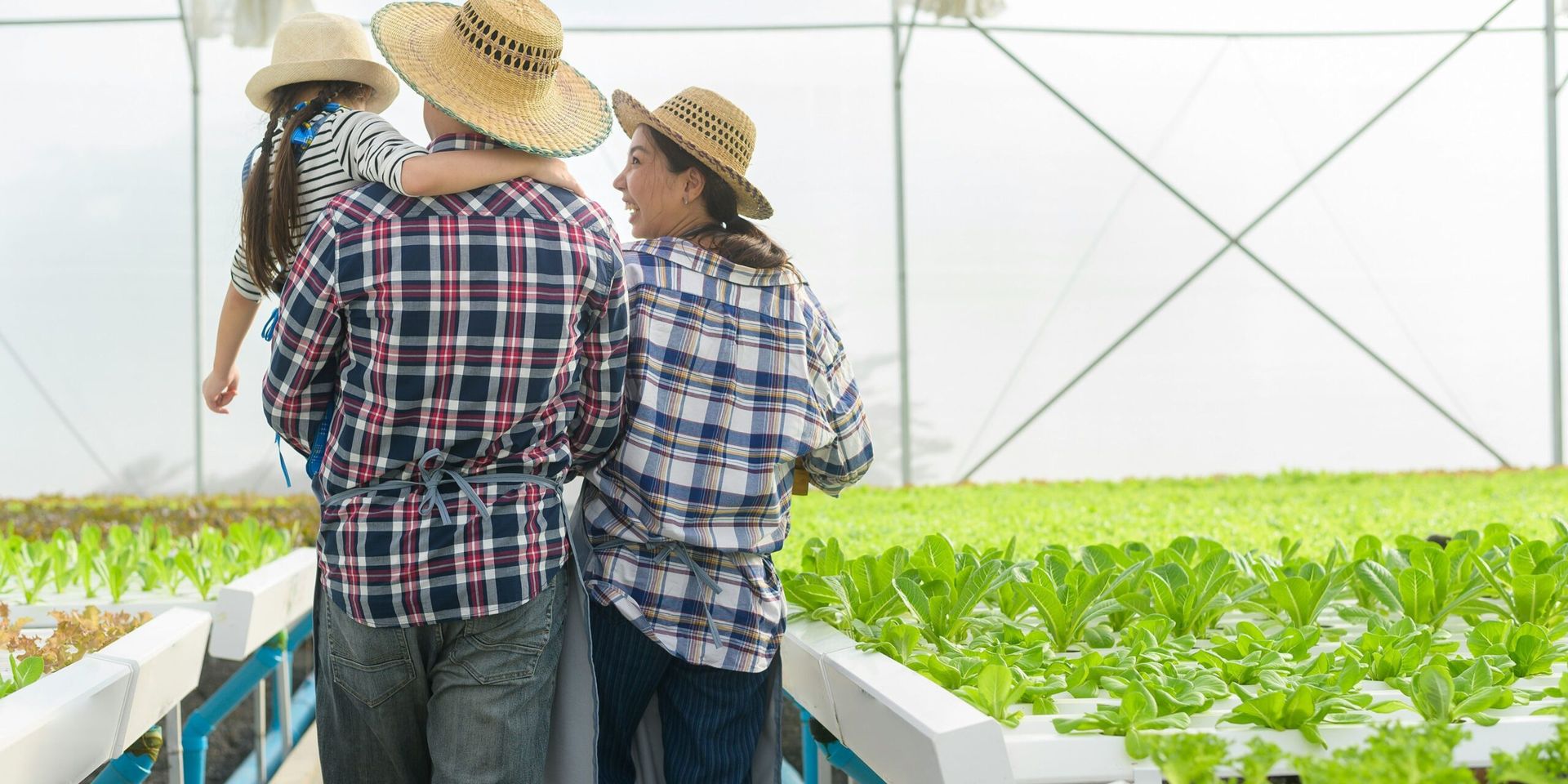 American Cities Lead the Way in Urban Farming Innovation for 2025