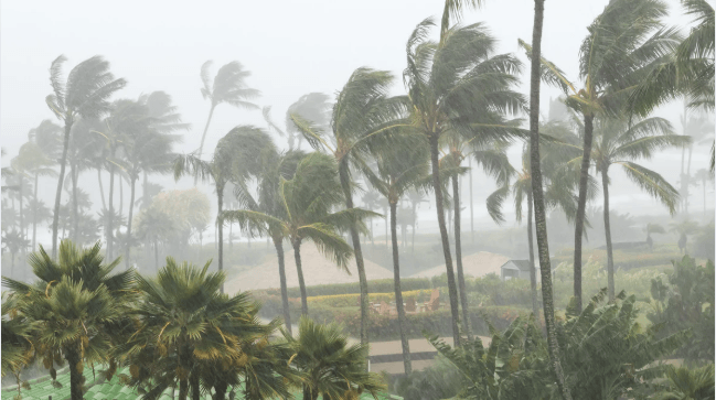 Hurrica