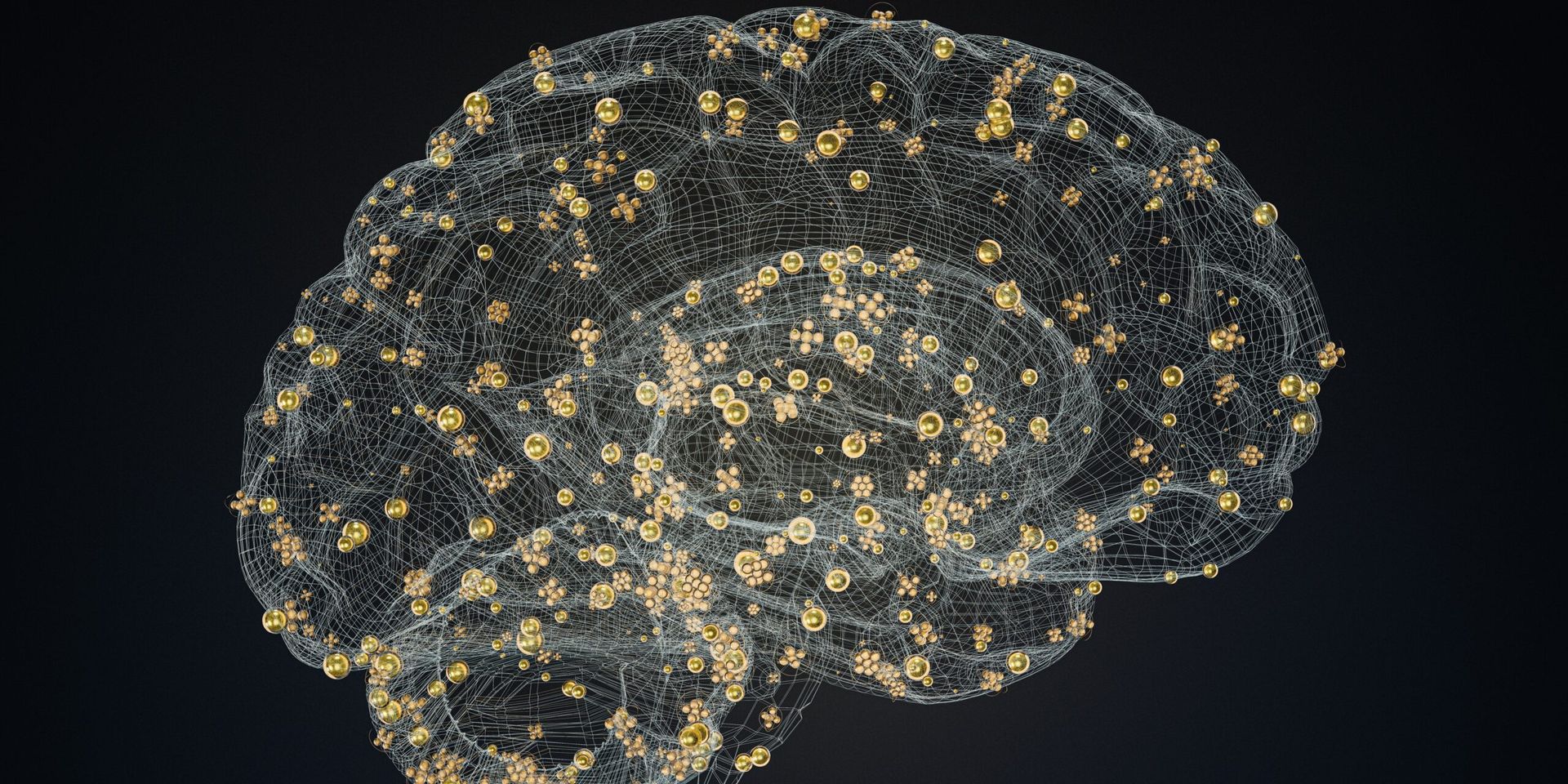 NIH Validates Next-Generation MRI System to Map Microscopic Brain Structure