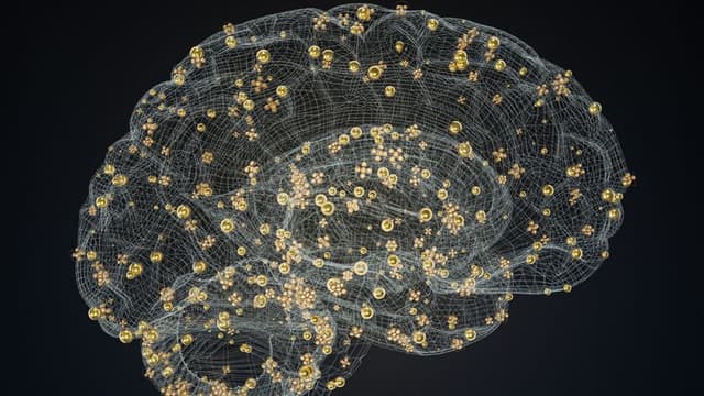 NIH Validates Next-Generation MRI System to Map Microscopic Brain Structure