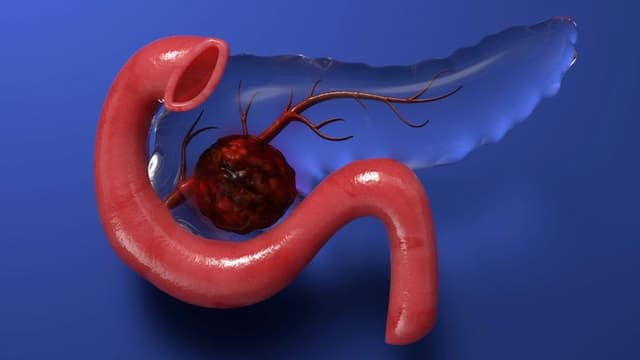 Gut Bacteria and Heart Disease: Groundbreaking Study Reveals New Cardiovascular Risk Clues