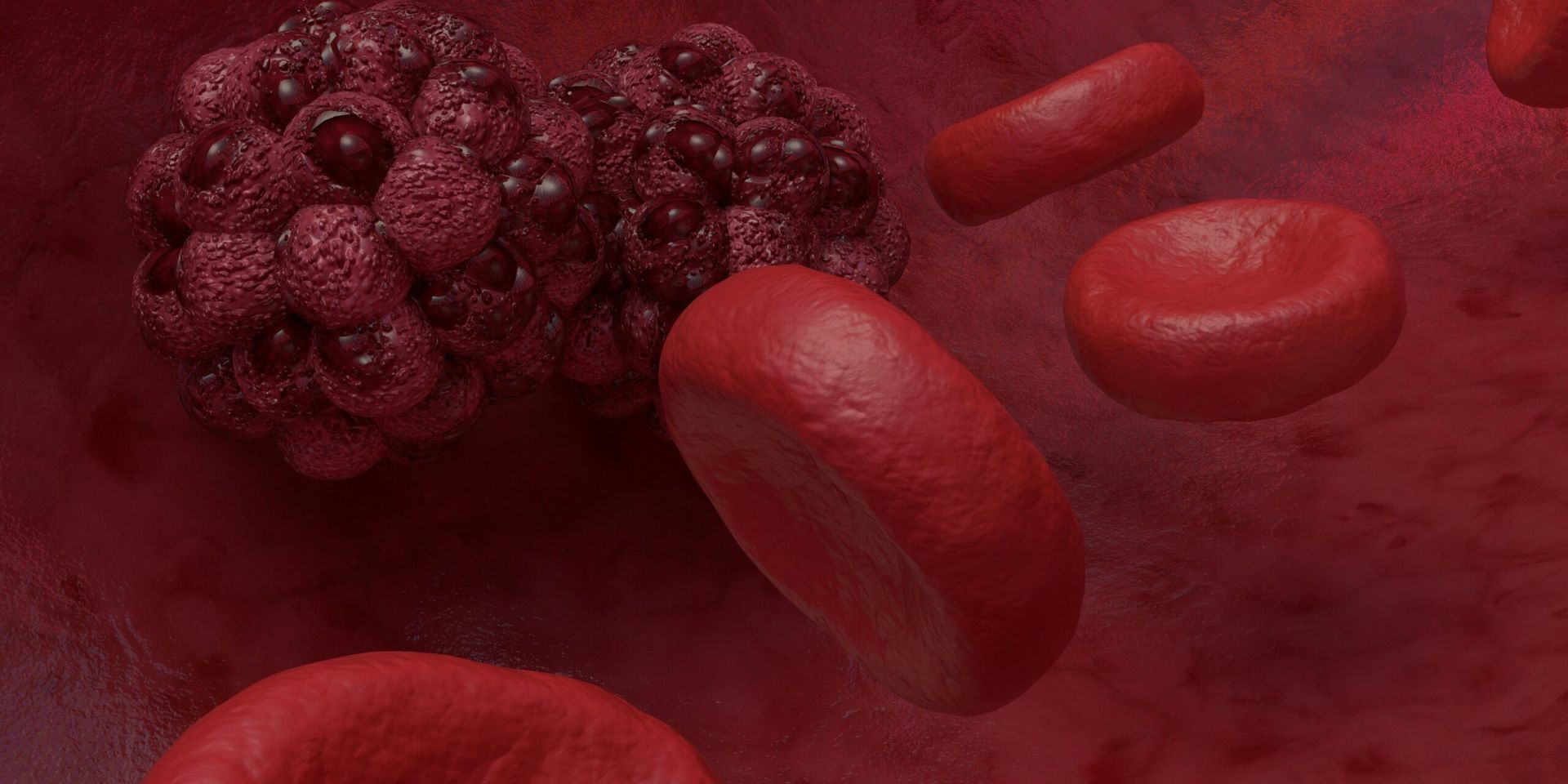 New Liver Organoid Microarray Developed to Model Immune-Driven Liver Injury