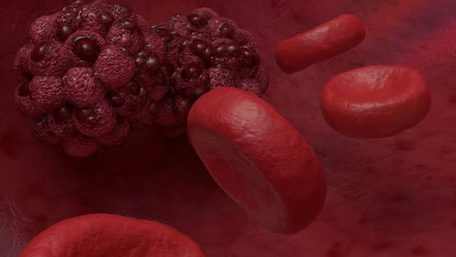 New Liver Organoid Microarray Developed to Model Immune-Driven Liver Injury