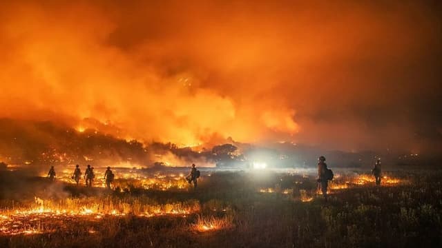 Hawaii Wildfires Devastate Maui, Leading to Tragedy and Resignation
