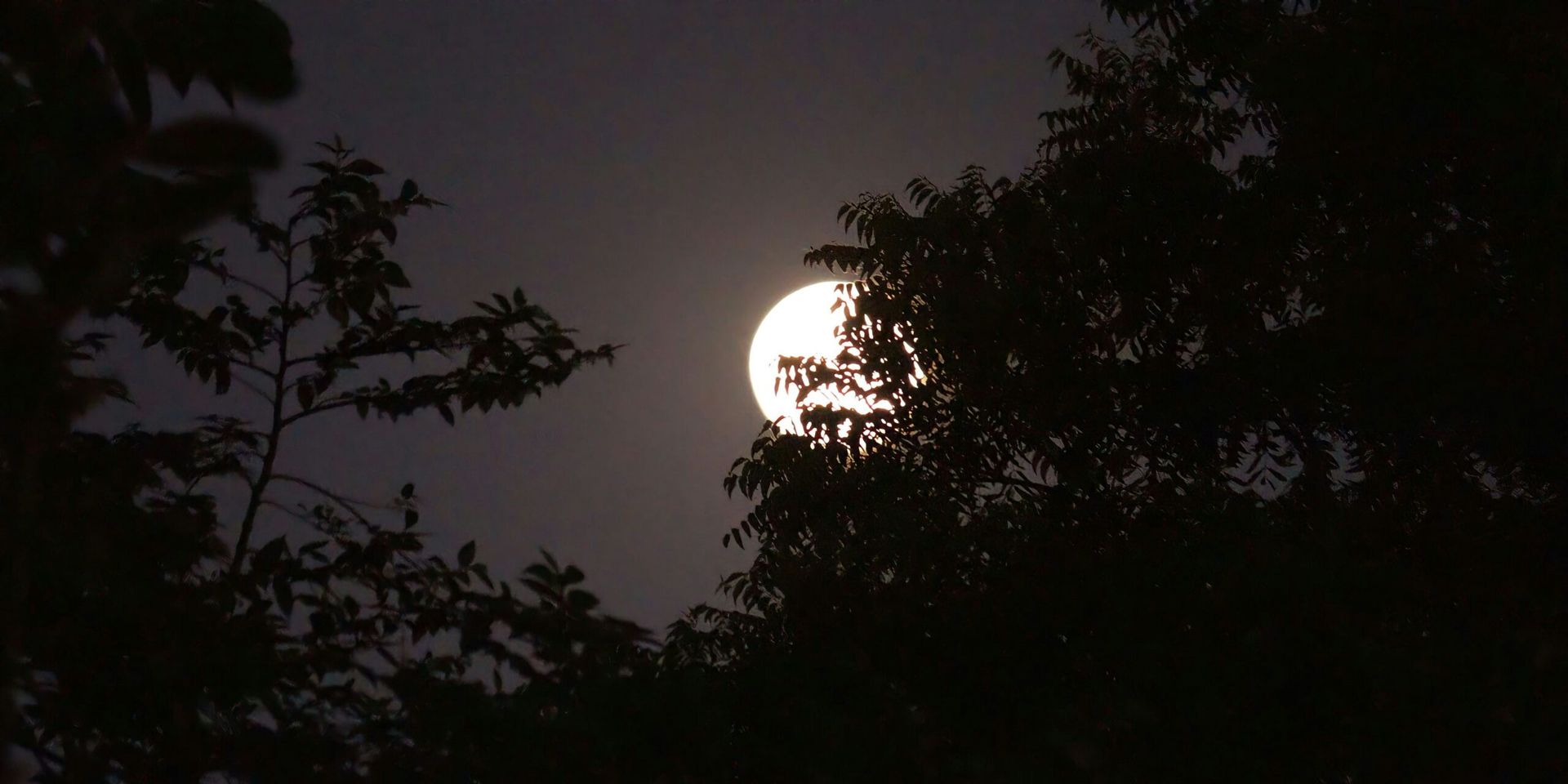 New Moon in Virgo Ushers in Night of Cosmic Renewal and Wellness Reflection