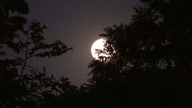 New Moon in Virgo Ushers in Night of Cosmic Renewal and Wellness Reflection