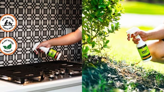 Nature’s Dome: The Safer, Smarter Way To Protect Your Family From Pests