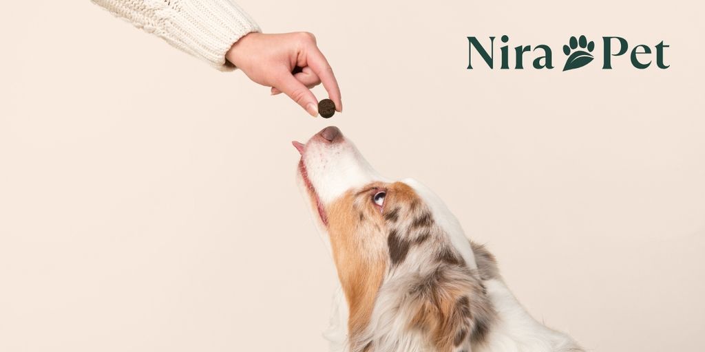 Nira Pet – Shaping A New Era In Pet Wellness