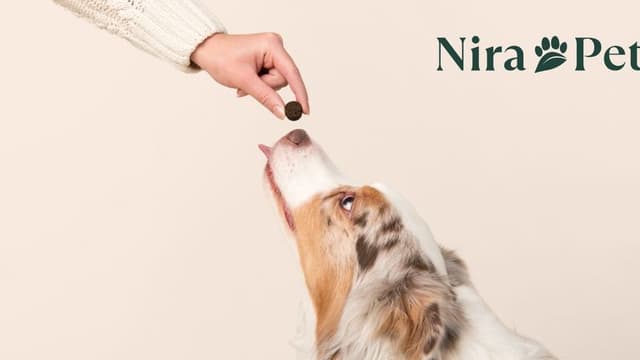 Nira Pet – Shaping A New Era In Pet Wellness