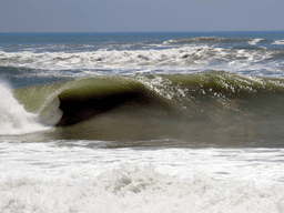 A powerful ocean wave curls dramatically under a bright blue sky