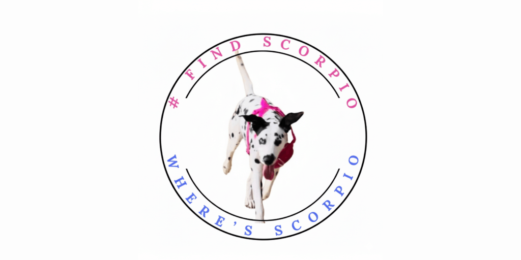 A Dalmatian dog running with the hashtag #FindScorpio, representing a movement of hope, love, and pet-family bonds.
