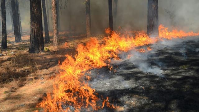 Eaton Fire Reaches 65% Containment Amid Ongoing Southern California Wildfire Crisis