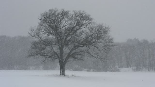 Winter Storm Strikes Texas, Leaving Fatalities and Disruptions in Its Wake