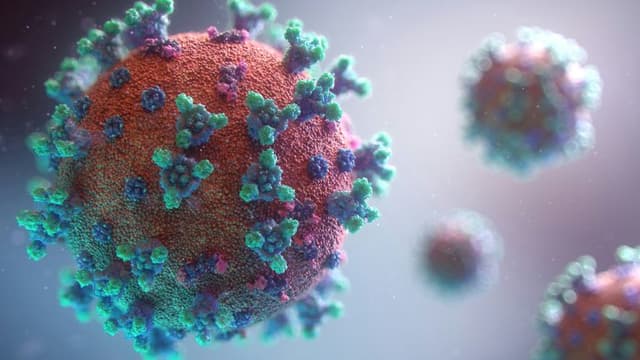 Summer Surge: COVID-19 Hospitalizations Rise Across U.S. as Omicron Subvariants Drive Infections