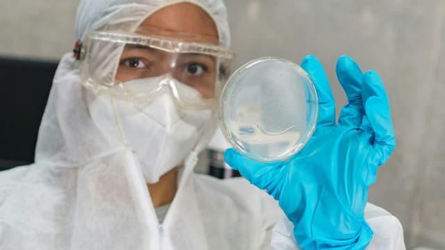 Researchers Enhance Vinegar’s Antibacterial Properties Using Nanotechnology