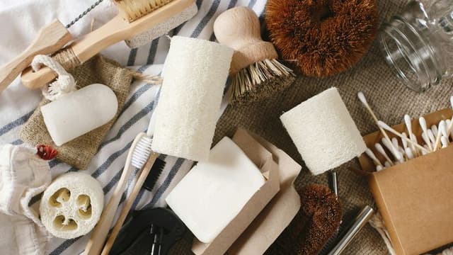 Sustainable Living Trends Gain Momentum in 2025