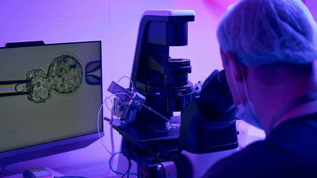 Scientists Launch $14.2 Million Project to Map the Body’s “Hidden Sixth Sense”