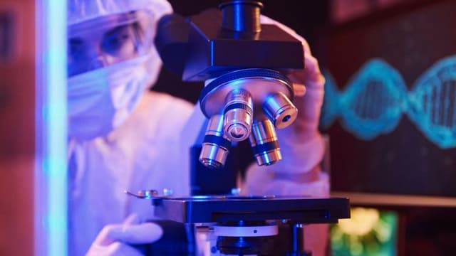 IBM Introduces Quantum AI for Drug Discovery: Transforming Healthcare Research