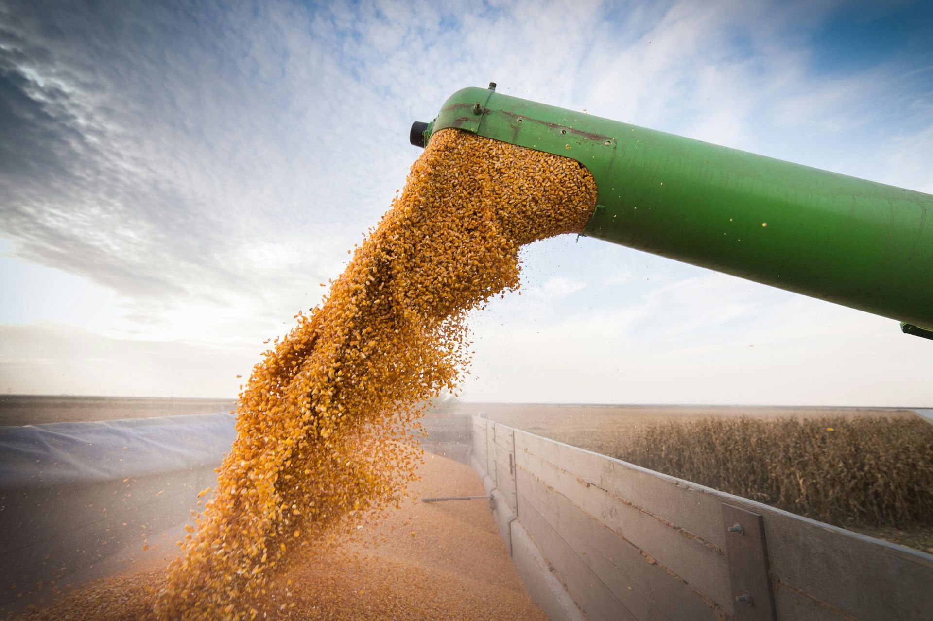 Global Food Crisis: June 2023’s Impact on U.S. Food Prices and Supply Chains