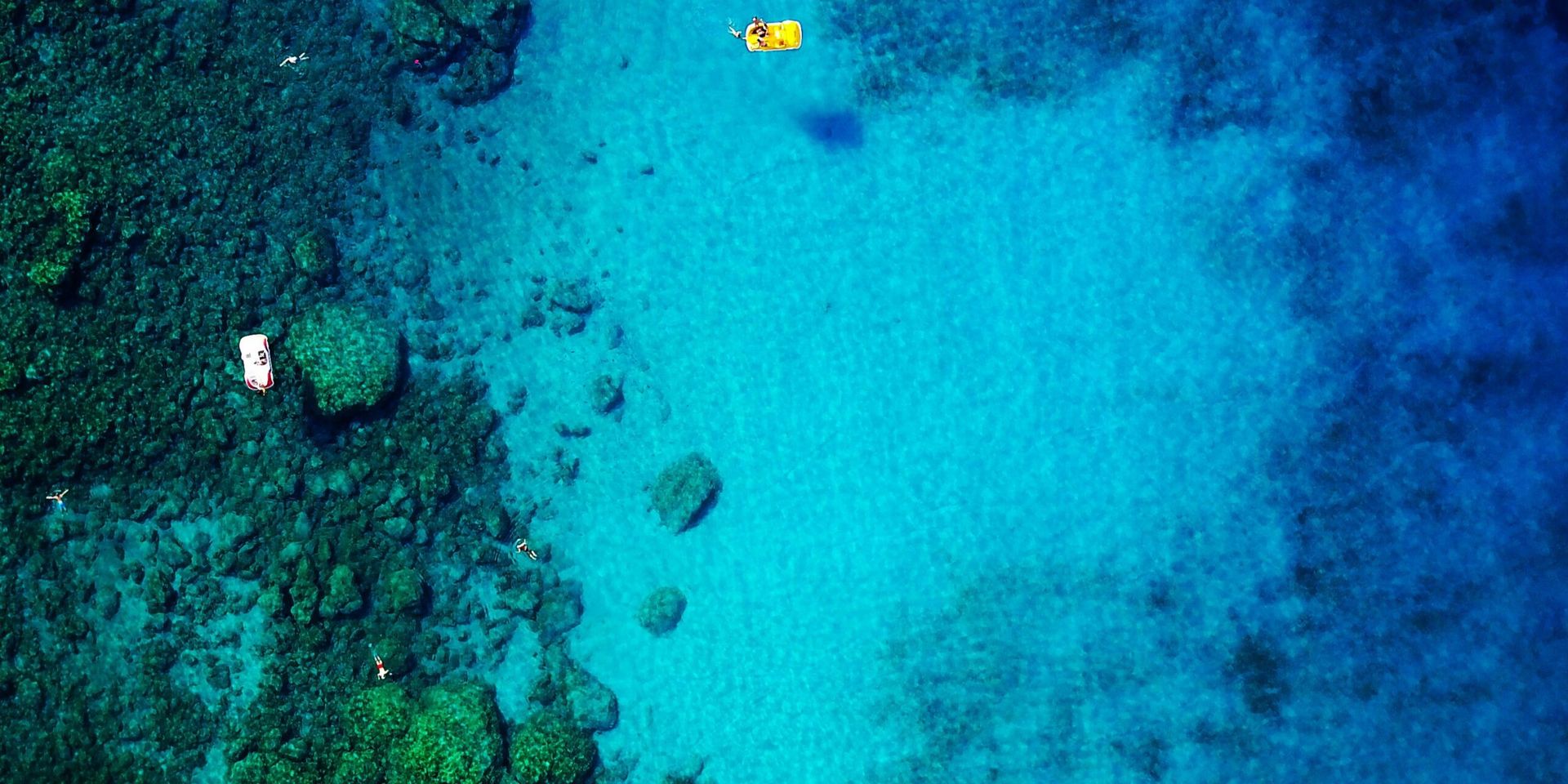 Scientists Discover New Marine Species in the Southern Ocean
