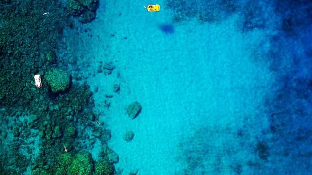 Scientists Discover New Marine Species in the Southern Ocean