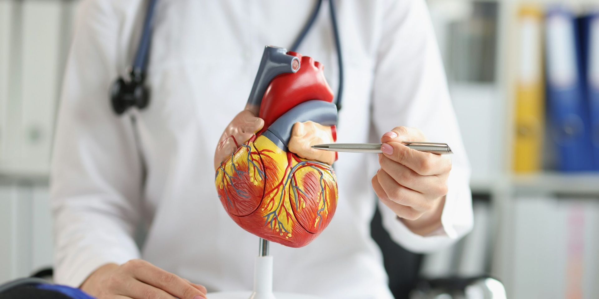 Researchers Identify Protein That May Halt Progression of Heart Disease