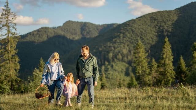 US Tourism Industry Booms as Domestic Travel Hits Record Highs in 2025