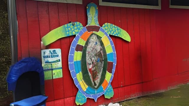 Student-Built Turtle Sculpture Sparks Environmental Awareness in Hampton