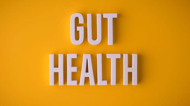 Groundbreaking Study Finds Link Between Gut Microbiome and Mental Health