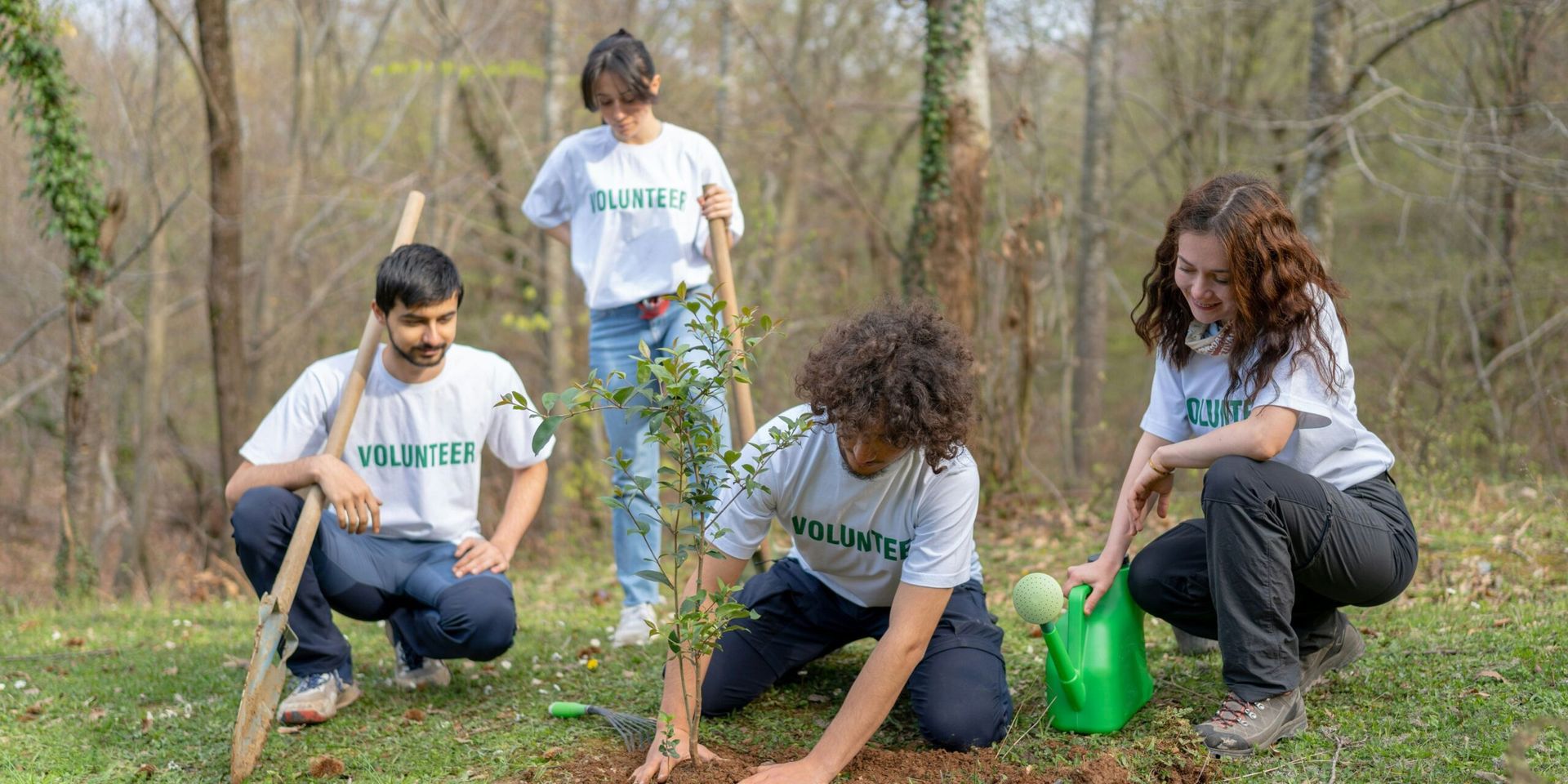 California Launches Largest Urban Reforestation Project to Combat Heat Waves