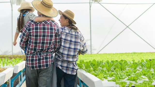 American Cities Lead the Way in Urban Farming Innovation for 2025