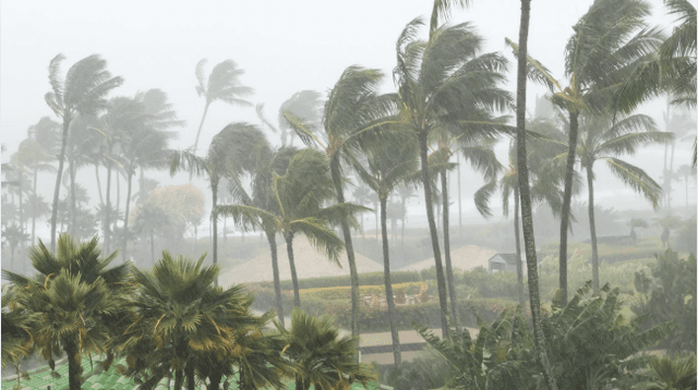 Hurrica