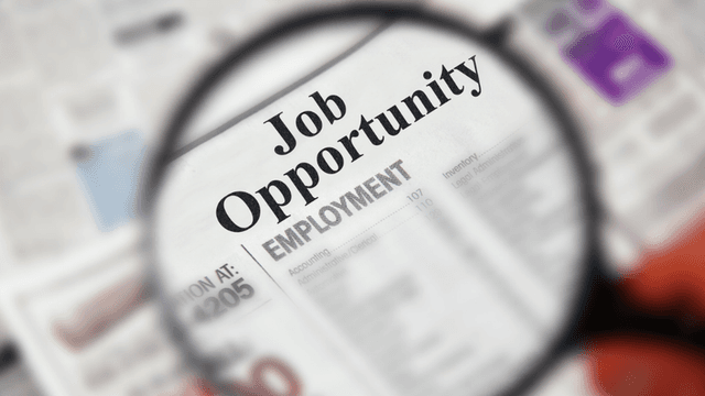 Magnifying glass enlarges the words “Job Opportunity” and “Employment” on a printed jobs page.