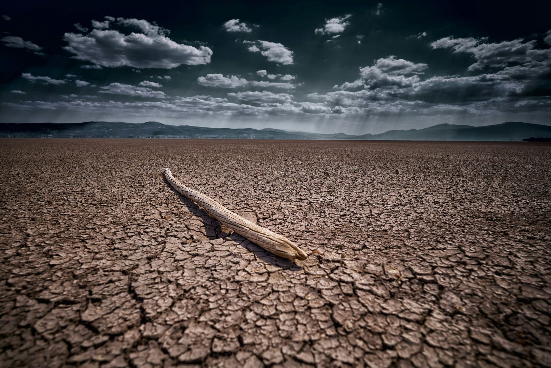 The Drought Crisis: Water Shortages and America’s Growing Environmental Concerns