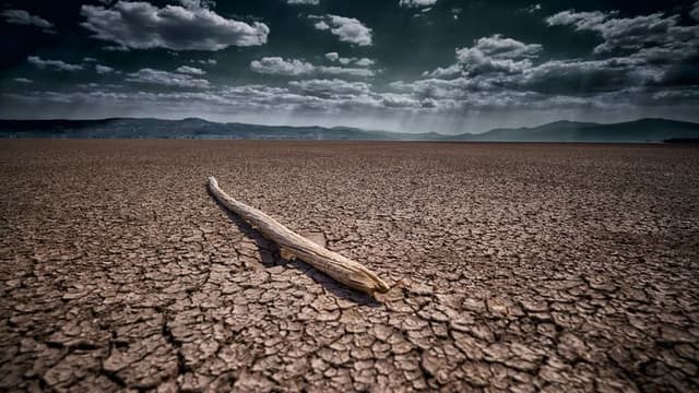 The Drought Crisis: Water Shortages and America’s Growing Environmental Concerns