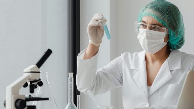Northwestern Study Reveals Pancreatic Cancer Immune Evasion Mechanism