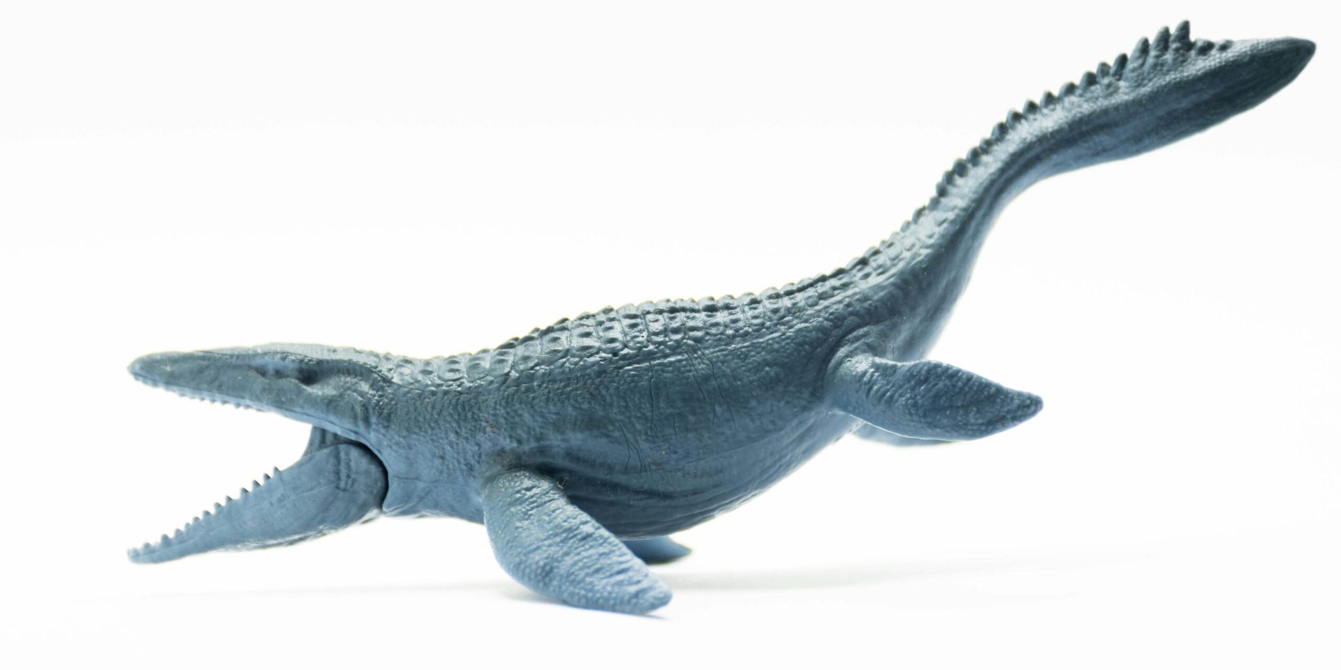 Scientists Discover Ancient New Ichthyosaur Species in Germany