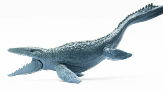 Scientists Discover Ancient New Ichthyosaur Species in Germany