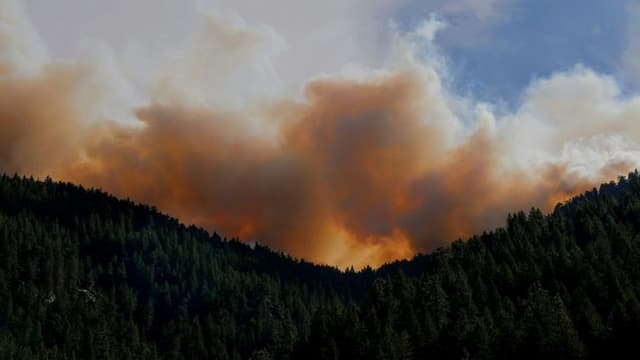 Trump Sentenced in Hush Money Case Amid Ongoing California Wildfires