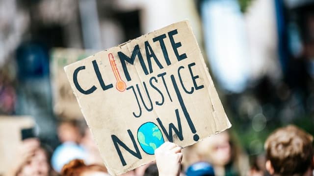 Climate Change Mobilization: U.S. Reactions to October 2024 UN Climate Summit