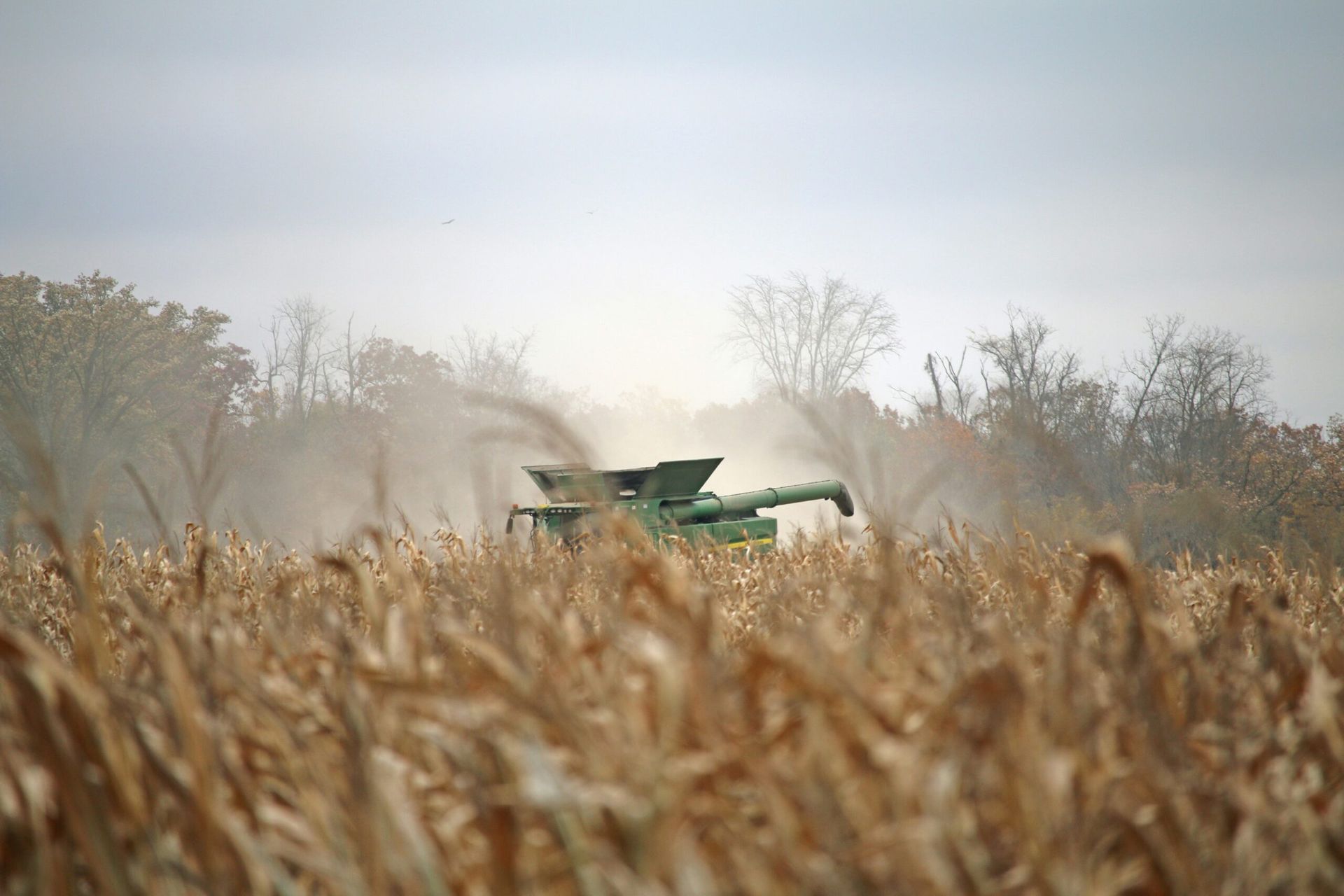 U.S. Faces Growing Concerns as Global Food Shortages Intensify in August 2024