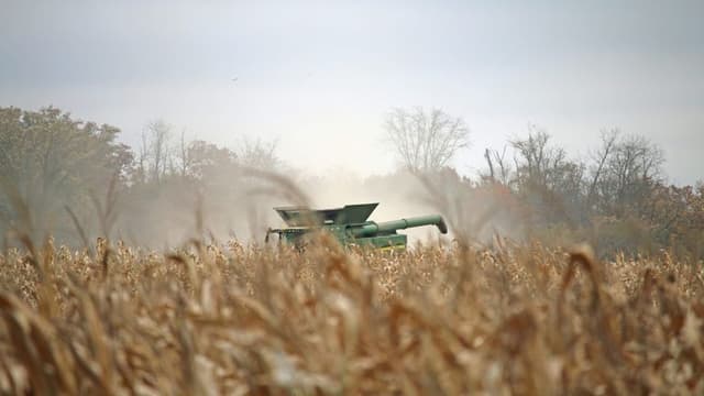 U.S. Faces Growing Concerns as Global Food Shortages Intensify in August 2024